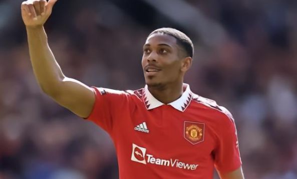 具备很高的 具备很高的